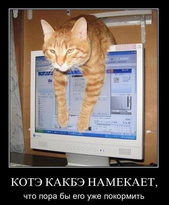 http://img.noobzone.ru/getimg.php?url=http%3A%2F%2Fimg0.liveinternet.ru%2Fimages%2Fattach%2Fc%2F2%2F%2F67%2F471%2F67471684_016.jpg